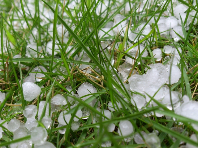 雹(ひょう)霰(あられ)霙(みぞれ)雪の違いや降る条件は?空の不思議 | 折々の発見と楽しみ